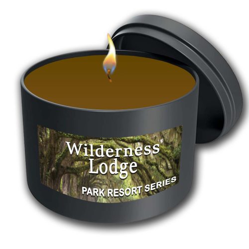 Wilderness Lodge - Park Resort Series