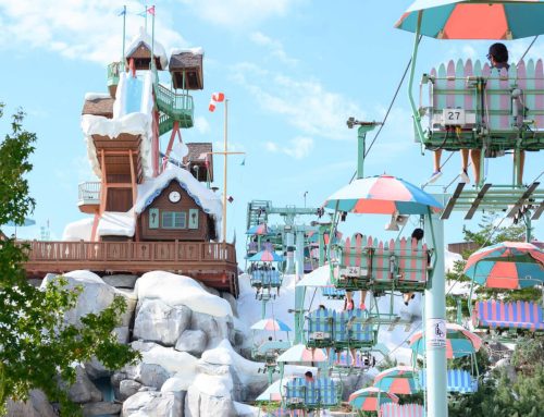 Disney’s Blizzard Beach Water Park
