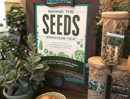 Disney’s Behind the Seeds Tour at EPCOT
