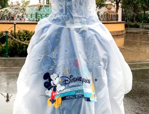 Must-Have Essentials for a Disney Trip